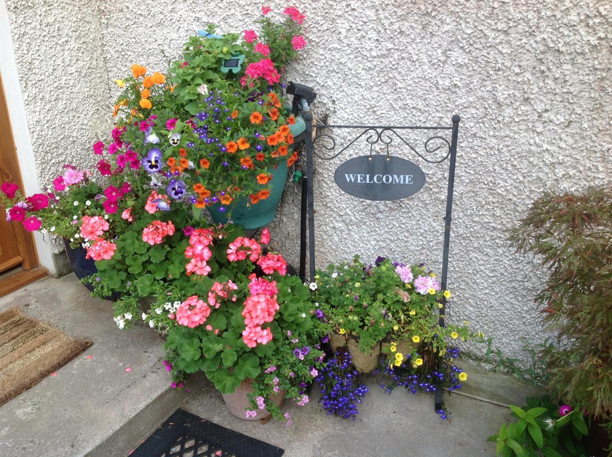 Guest house Furan